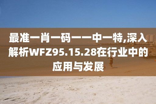 最準(zhǔn)一肖一碼一一中一特,深入解析WFZ95.15.28在行業(yè)中的應(yīng)用與發(fā)展