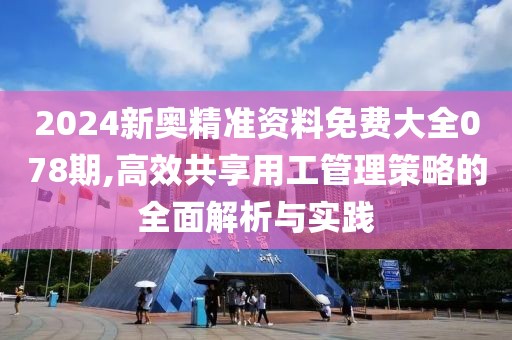 2024新奧精準資料免費大全078期,高效共享用工管理策略的全面解析與實踐