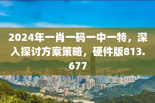 2024年一肖一碼一中一特，深入探討方案策略，硬件版813.677