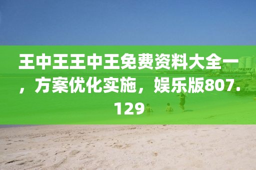 王中王王中王免費(fèi)資料大全一，方案優(yōu)化實(shí)施，娛樂版807.129