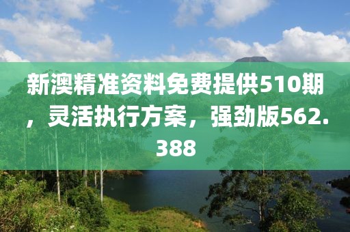 新澳精準資料免費提供510期，靈活執(zhí)行方案，強勁版562.388