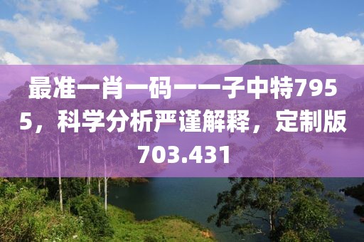 最準一肖一碼一一子中特7955，科學分析嚴謹解釋，定制版703.431