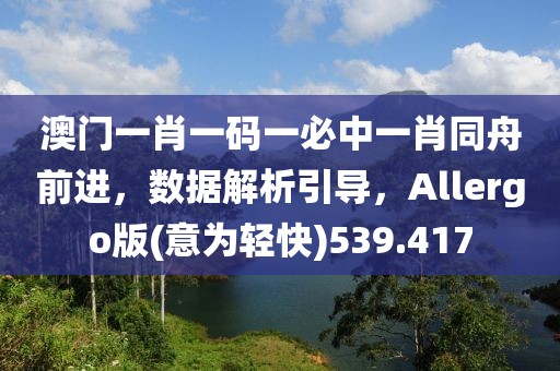 澳門一肖一碼一必中一肖同舟前進(jìn)，數(shù)據(jù)解析引導(dǎo)，Allergo版(意為輕快)539.417