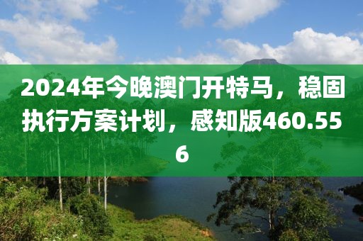 2024年今晚澳門開特馬，穩(wěn)固執(zhí)行方案計(jì)劃，感知版460.556