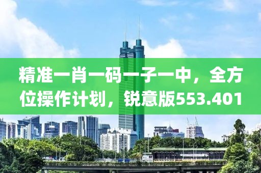 精準一肖一碼一子一中，全方位操作計劃，銳意版553.401