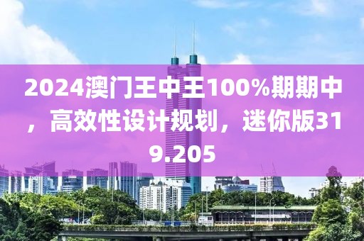 2024澳門王中王100%期期中，高效性設(shè)計規(guī)劃，迷你版319.205