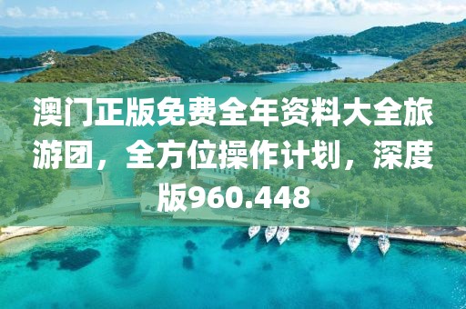 澳門正版免費全年資料大全旅游團，全方位操作計劃，深度版960.448