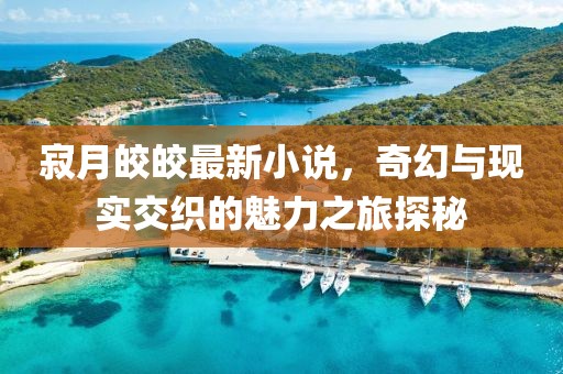 寂月皎皎最新小說，奇幻與現(xiàn)實交織的魅力之旅探秘