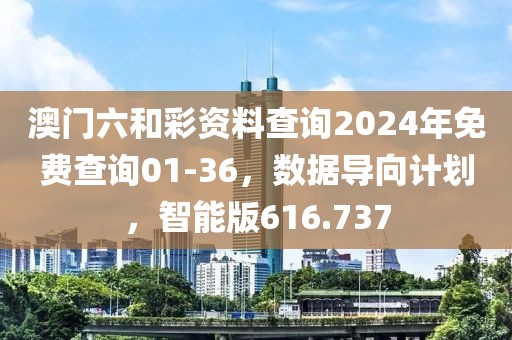 澳門六和彩資料查詢2024年免費(fèi)查詢01-36，數(shù)據(jù)導(dǎo)向計劃，智能版616.737