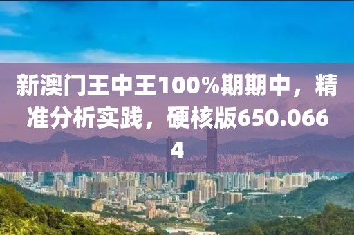 新澳門王中王100%期期中，精準(zhǔn)分析實(shí)踐，硬核版650.0664