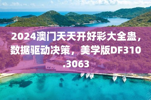 2024澳門天天開好彩大全蠱，數(shù)據(jù)驅(qū)動(dòng)決策，美學(xué)版DF310.3063