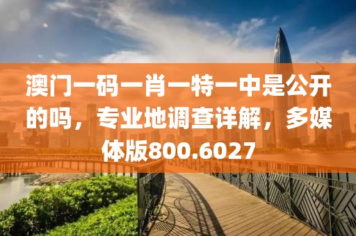 澳門一碼一肖一特一中是公開的嗎，專業(yè)地調(diào)查詳解，多媒體版800.6027