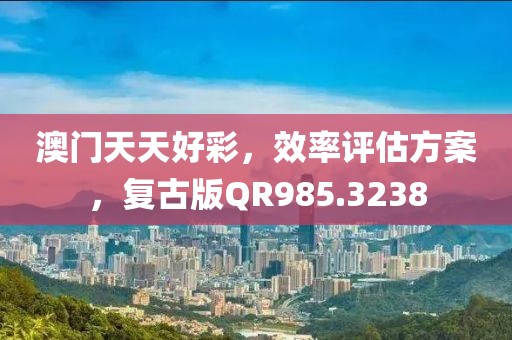 澳門天天好彩，效率評估方案，復(fù)古版QR985.3238