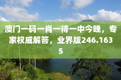 澳門一碼一肖一待一中今晚，專家權(quán)威解答，業(yè)界版246.1635