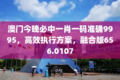 澳門今晚必中一肖一碼準(zhǔn)確9995，高效執(zhí)行方案，融合版656.0107