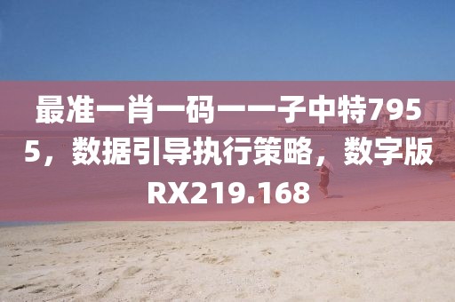 最準一肖一碼一一子中特7955，數據引導執(zhí)行策略，數字版RX219.168