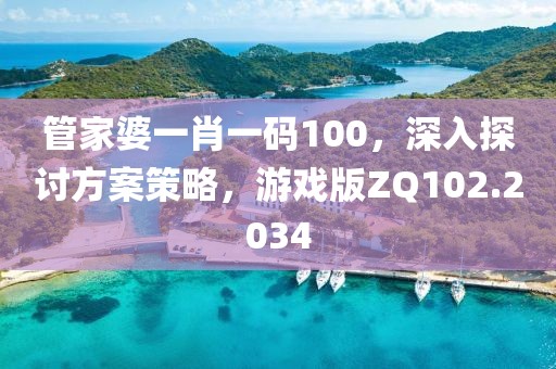 管家婆一肖一碼100，深入探討方案策略，游戲版ZQ102.2034