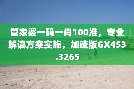 管家婆一碼一肖100準(zhǔn)，專業(yè)解讀方案實(shí)施，加速版GX453.3265