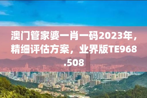 澳門管家婆一肖一碼2023年，精細(xì)評估方案，業(yè)界版TE968.508