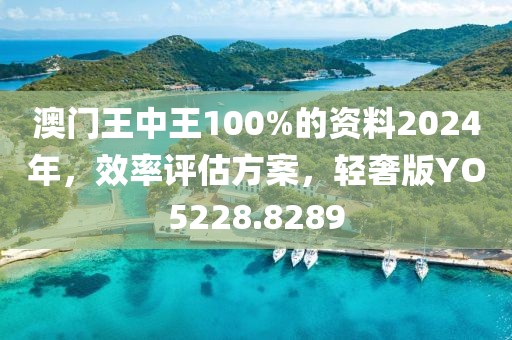 澳門王中王100%的資料2024年，效率評(píng)估方案，輕奢版YO5228.8289