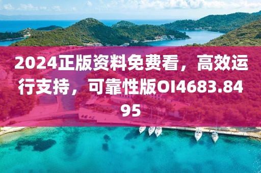 2024正版資料免費(fèi)看，高效運(yùn)行支持，可靠性版OI4683.8495