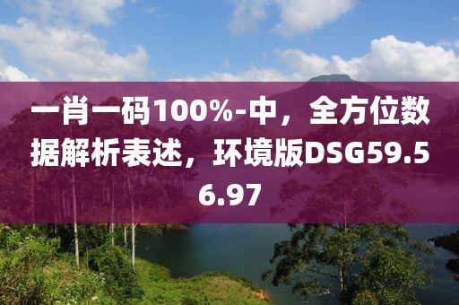 一肖一碼100%-中，全方位數(shù)據(jù)解析表述，環(huán)境版DSG59.56.97