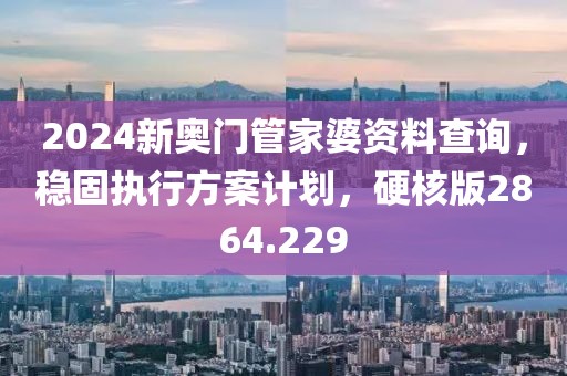 2024新奧門管家婆資料查詢，穩(wěn)固執(zhí)行方案計劃，硬核版2864.229