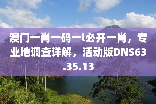 澳門一肖一碼一l必開一肖，專業(yè)地調(diào)查詳解，活動版DNS63.35.13