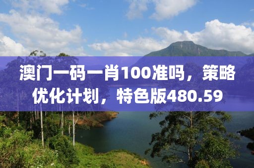 澳門一碼一肖100準(zhǔn)嗎，策略優(yōu)化計(jì)劃，特色版480.59