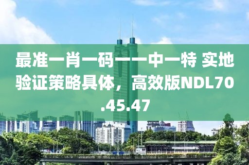 最準(zhǔn)一肖一碼一一中一特 實地驗證策略具體，高效版NDL70.45.47