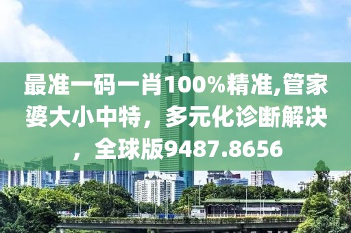 最準一碼一肖100%精準,管家婆大小中特，多元化診斷解決，全球版9487.8656