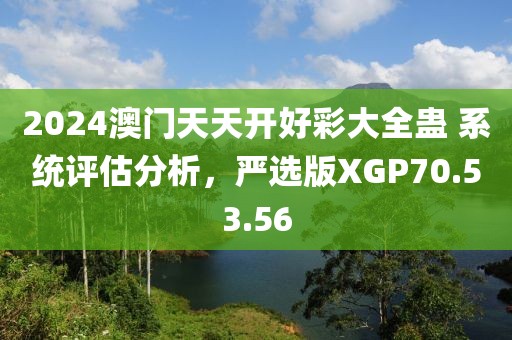 2024澳門天天開好彩大全蠱 系統(tǒng)評估分析，嚴選版XGP70.53.56