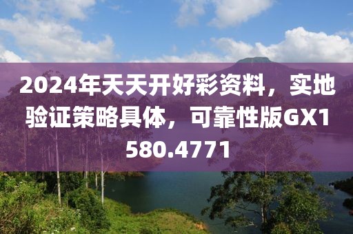 2024年天天開好彩資料，實地驗證策略具體，可靠性版GX1580.4771