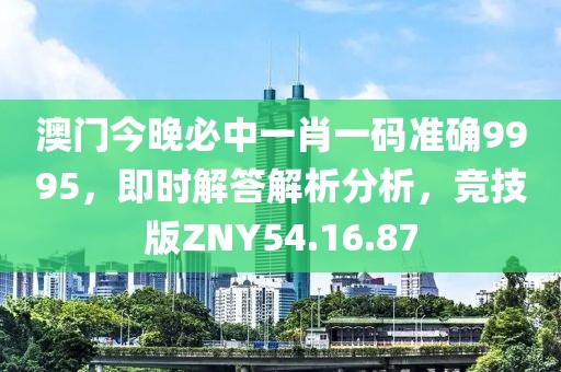 澳門今晚必中一肖一碼準(zhǔn)確9995，即時解答解析分析，競技版ZNY54.16.87