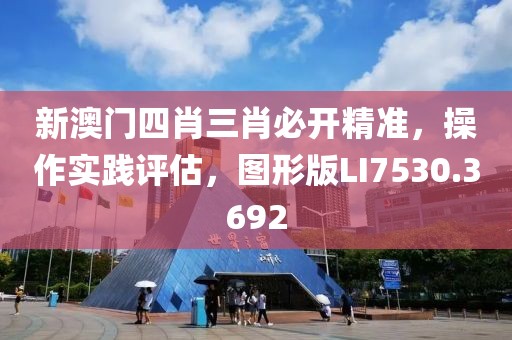 新澳門四肖三肖必開精準，操作實踐評估，圖形版LI7530.3692