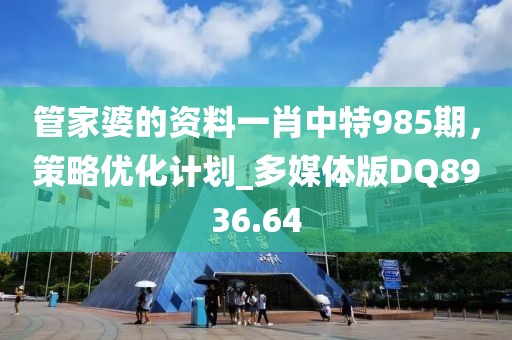 管家婆的資料一肖中特985期，策略優(yōu)化計劃_多媒體版DQ8936.64