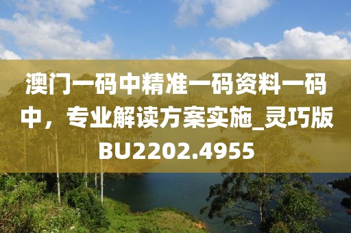 澳門一碼中精準(zhǔn)一碼資料一碼中，專業(yè)解讀方案實(shí)施_靈巧版BU2202.4955