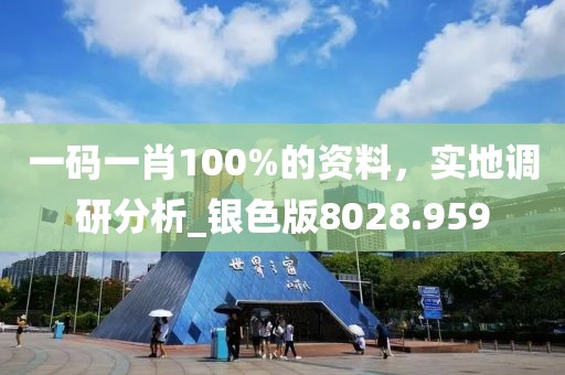 一碼一肖100%的資料，實地調(diào)研分析_銀色版8028.959