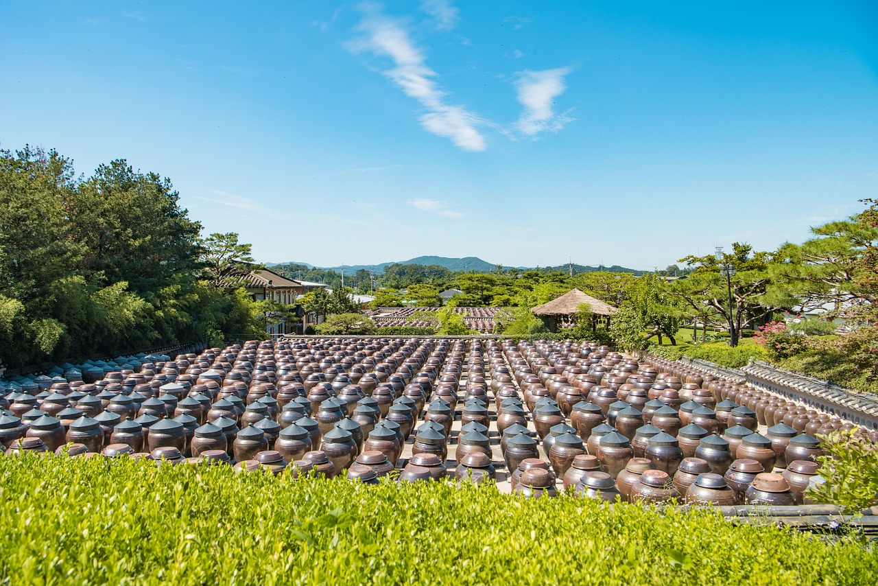 探索現(xiàn)代農(nóng)業(yè)種植新模式，最新農(nóng)業(yè)種植項目案例分享