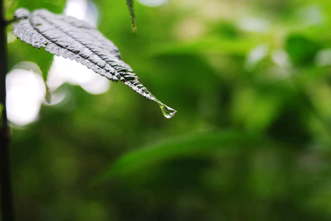 上虞徐堯峰最新動態(tài)或狀況更新