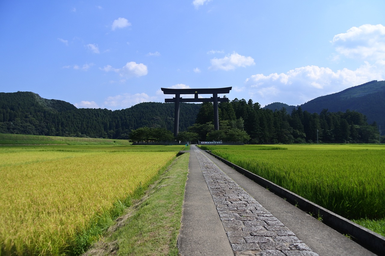 洛陽三山村最新規(guī)劃，重塑鄉(xiāng)村魅力，引領(lǐng)未來發(fā)展之路