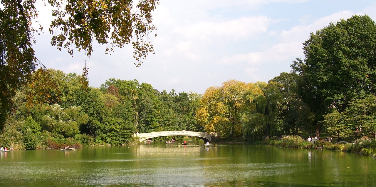 偉業(yè)中央公園最新動態(tài)，開啟城市綠色生活新篇章