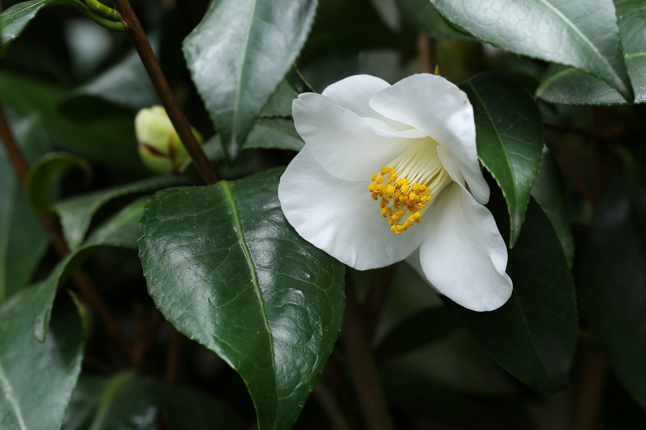 同濟(jì)李榮興最新動態(tài)，學(xué)術(shù)成就概覽與未來展望