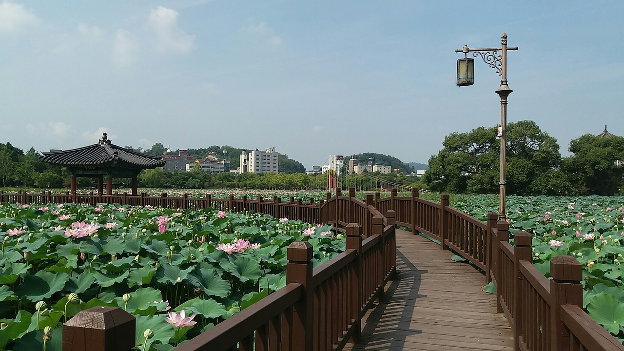 湖海塘公園最新動態(tài)更新，公園最新概況