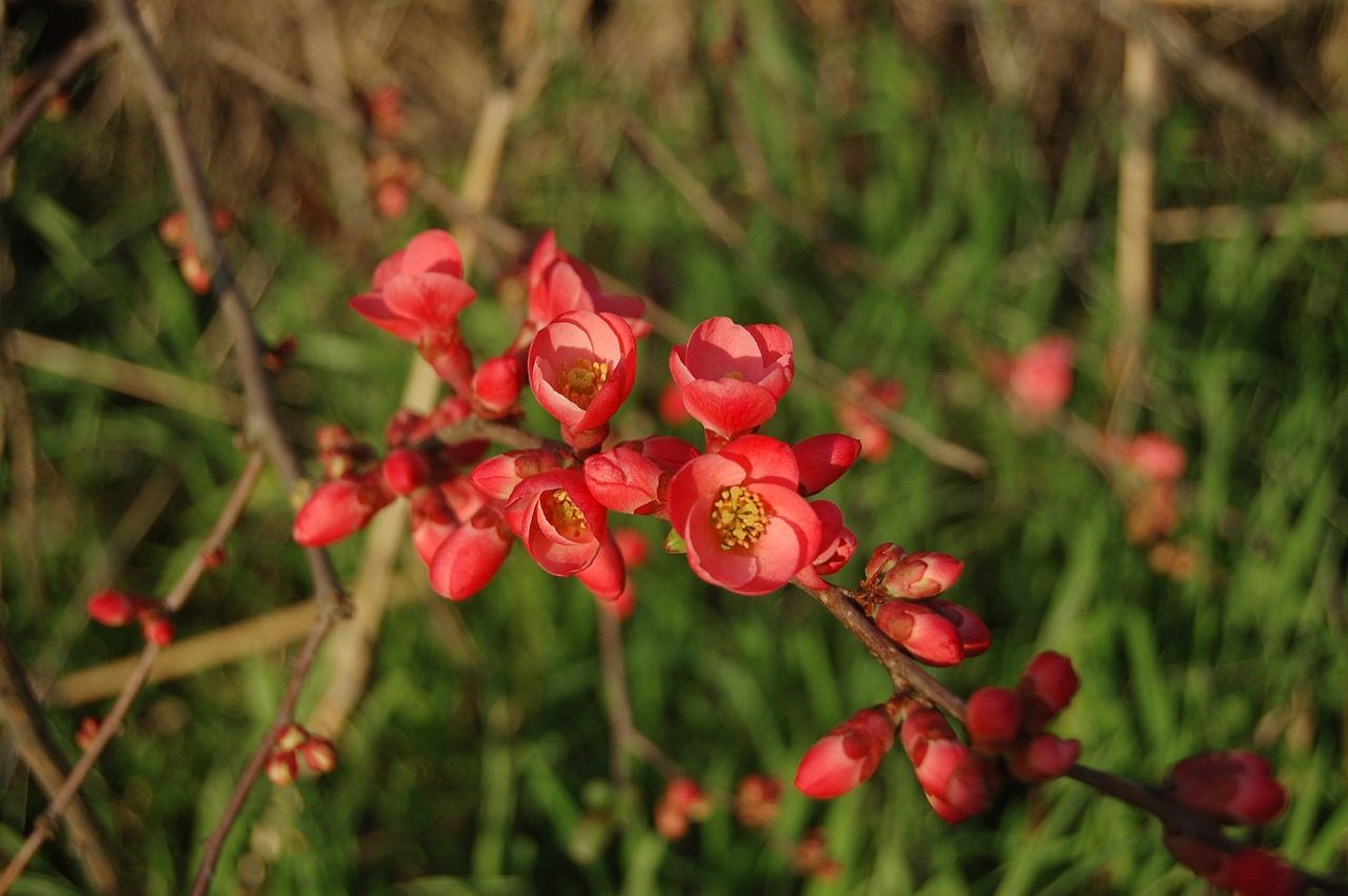 蕭山湖濱花園最新房價(jià)走勢，市場動(dòng)態(tài)與影響力分析