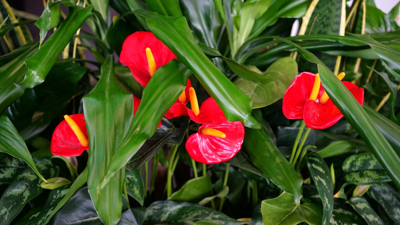 陽信陽城花園最新價格動態(tài)與深度市場分析，洞悉市場趨勢，洞悉價格走勢